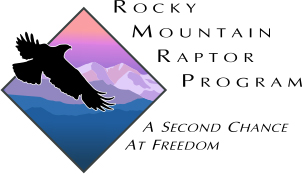 rockymtnraptor